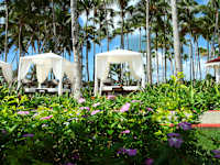 Bahia Principe Luxury Bouganville