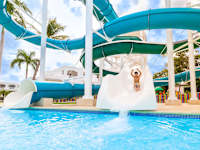 Sunscape Dominicus La Romana