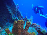 HM Alma de Bayahibe