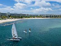 Princess Senses The Mangrove