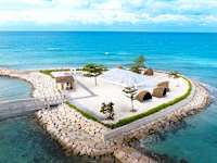 Princess Senses The Mangrove