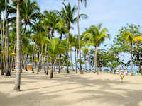 Playabachata