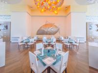 Royalton Splash Punta Cana An Autograph Collection All Inclusive Resort and Casino