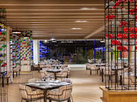 Serenade Punta Cana Beach and Spa Resort 