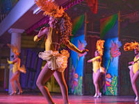 Iberostar Waves Dominicana