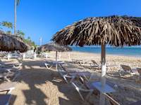 Whala Bavaro