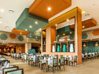 Riu Vallarta