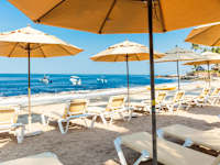 Las Palmas By The Sea