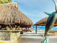 Las Palmas By The Sea