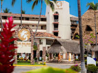 Las Palmas By The Sea