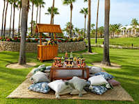 Paradisus Los Cabos Adults Only