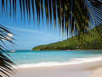 Oyster Bay Beach Resort