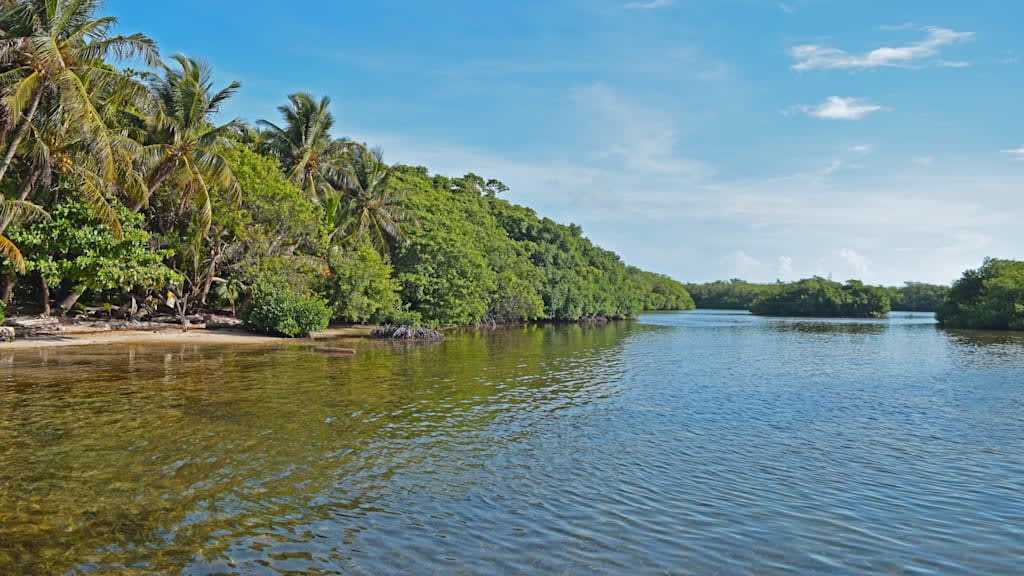 Decameron Marazul