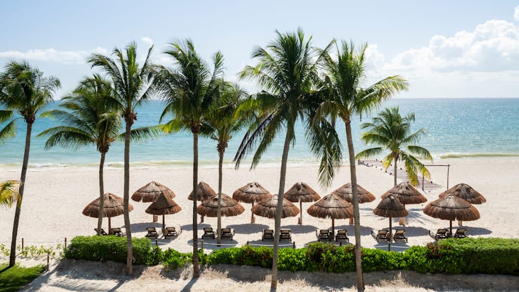 Hyatt Zilara Riviera Maya (available as of October 18, 2024)