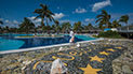 Playa Pesquero Resort Suites and Spa