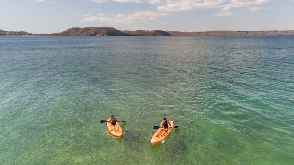 Occidental Papagayo