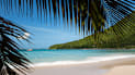 Oyster Bay Beach Resort