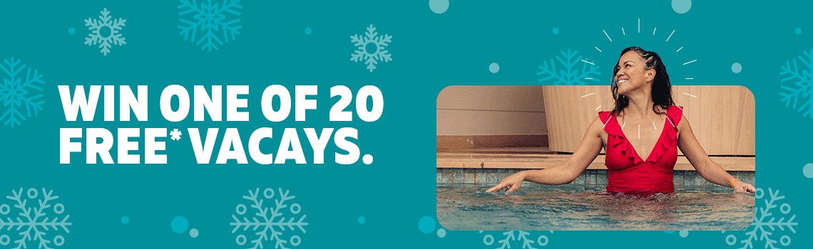 Promotion : Winter holiday promotion : Header image