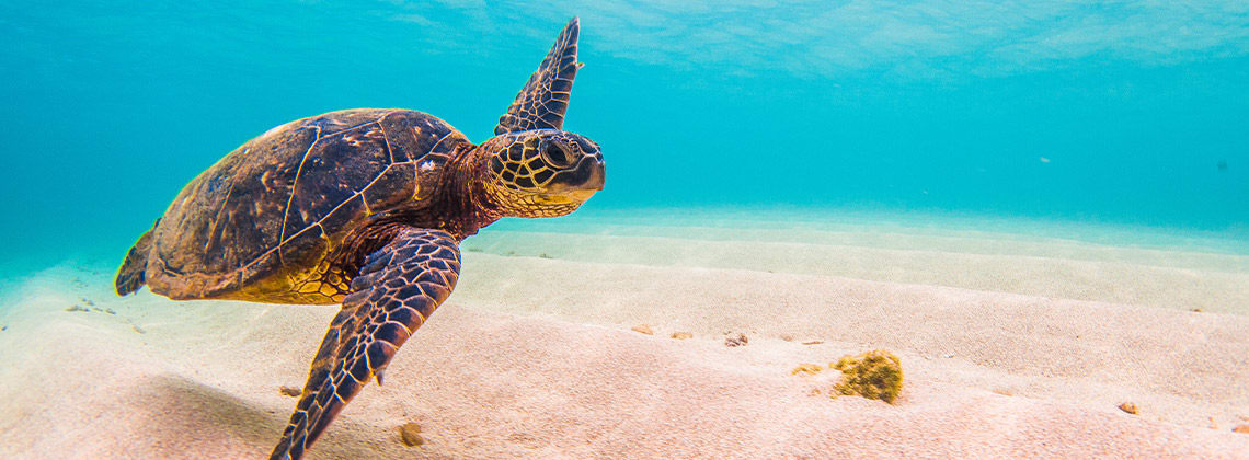 4 reasons to touchdown in Cuba’s sunshine coast