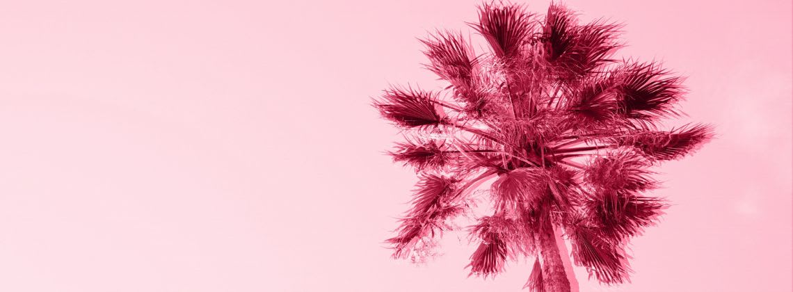 Ajoutez Viva Magenta de Pantone à votre mariage à destination en 2023