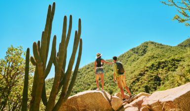 Nos destinations préférées au Mexique pour observer la faune