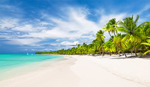 Blog: Saona Island in Punta Cana image