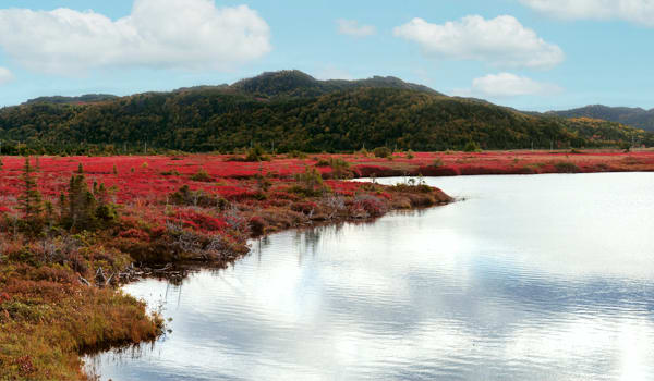 Blog : Hike Newfoundland’s tallest mountains in Stephenville image