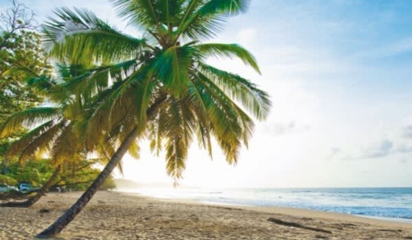 Blog: Easy entry paradise image