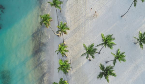 Blog: Playa Juanillo, tranquility in the heart of it all image