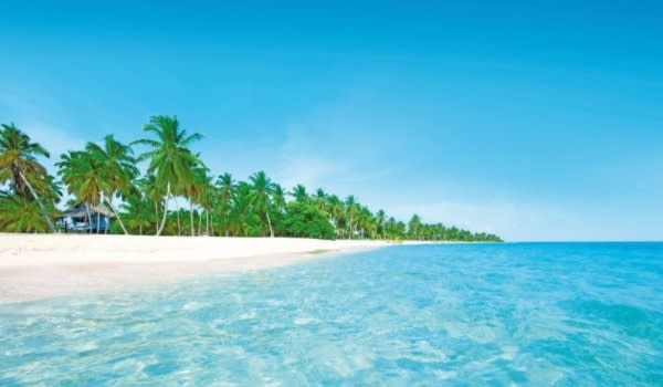 Blog: Saona Island, where the starfish play image
