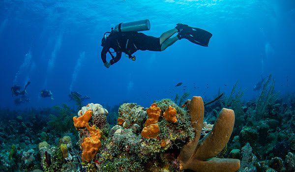 Blog: The Sea of Seven Colours in San Andrés image