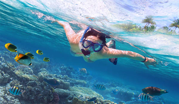 Blog: Beauty is in the eye of the snorkel holder image