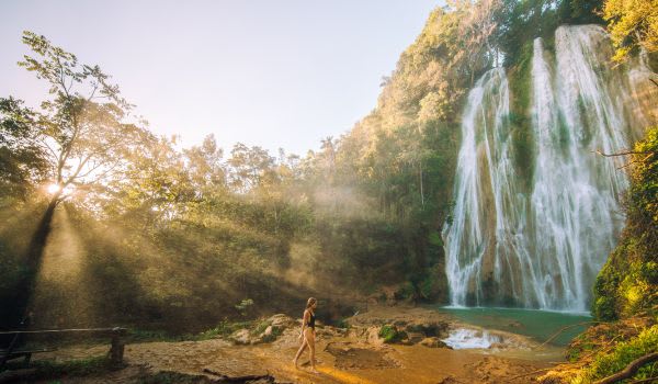 Blog: Take nature walks to new heights image