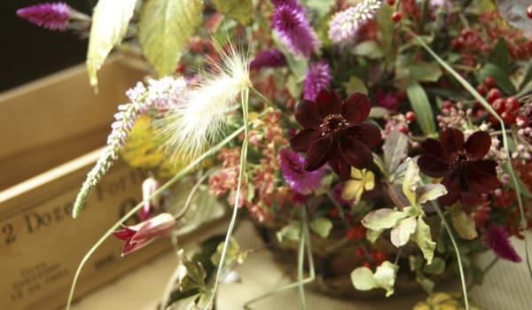 Blog: Tropical flora with a twist image