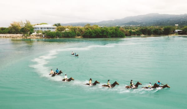 Blog: Soak up nature in a tropical paradise image