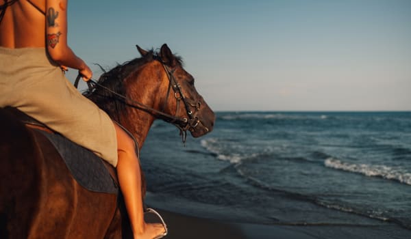 Blog: Take an enchanting ride into the sunset image