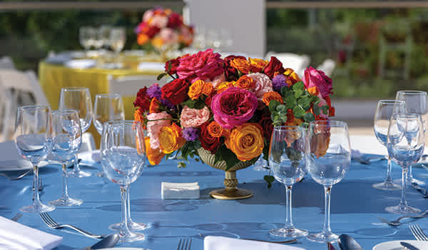 Blog: Packages designed for seamless planning image