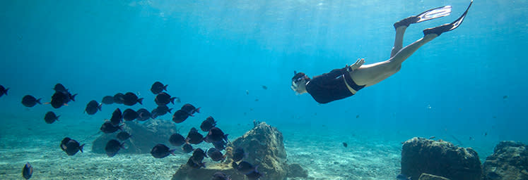 Offre de lancement pour Cozumel