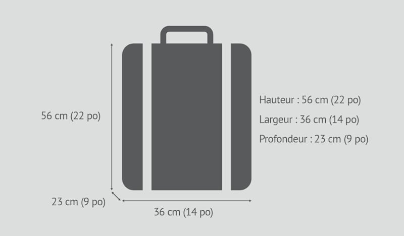 Bagage de cabine