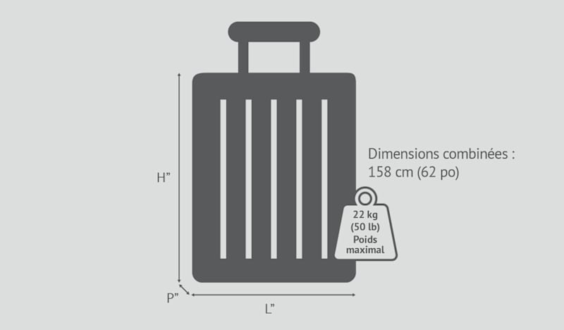 Bagages enregistrés 