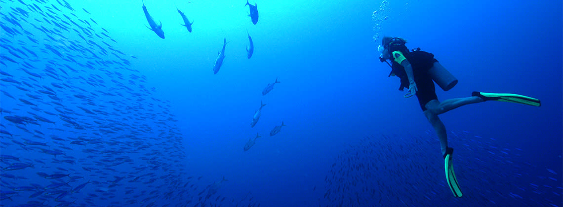 Bonaire