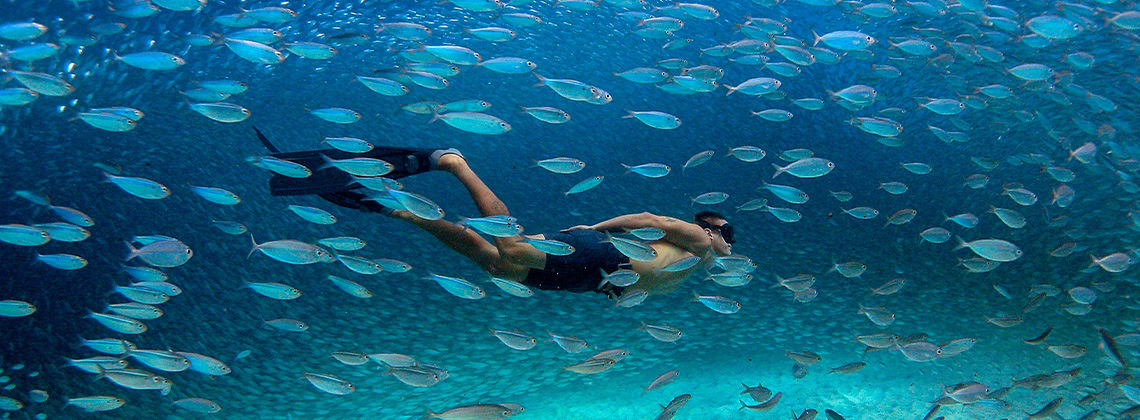 6 magnifiques sites de plongée à Bonaire