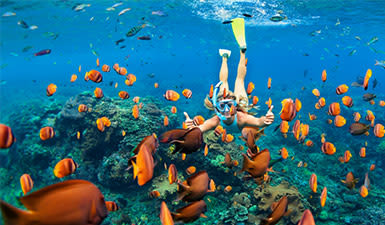 4 moyens de rester actifs pendant votre escapade à Cuba