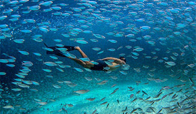 6 magnifiques sites de plongée à Bonaire