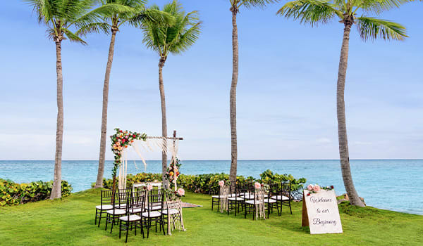 There are free wedding packages available at most resorts image
