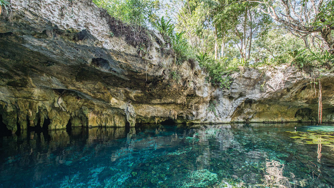 Best of the best : Must-Visit Mexican Cenotes : Gran Cenote : Image