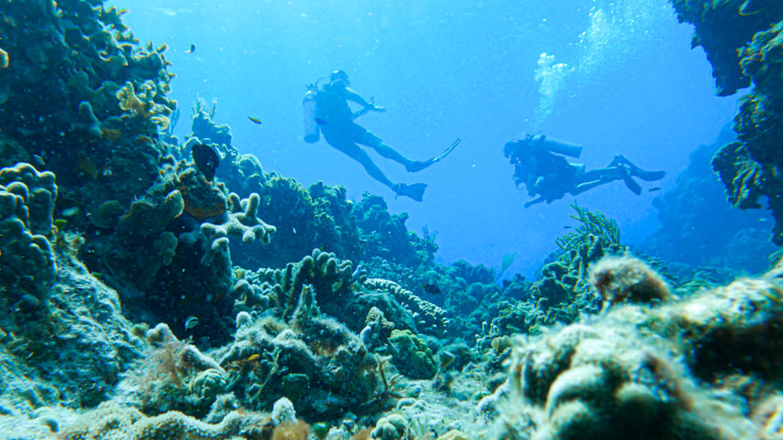 New Destinations : Cozumel : Image 2