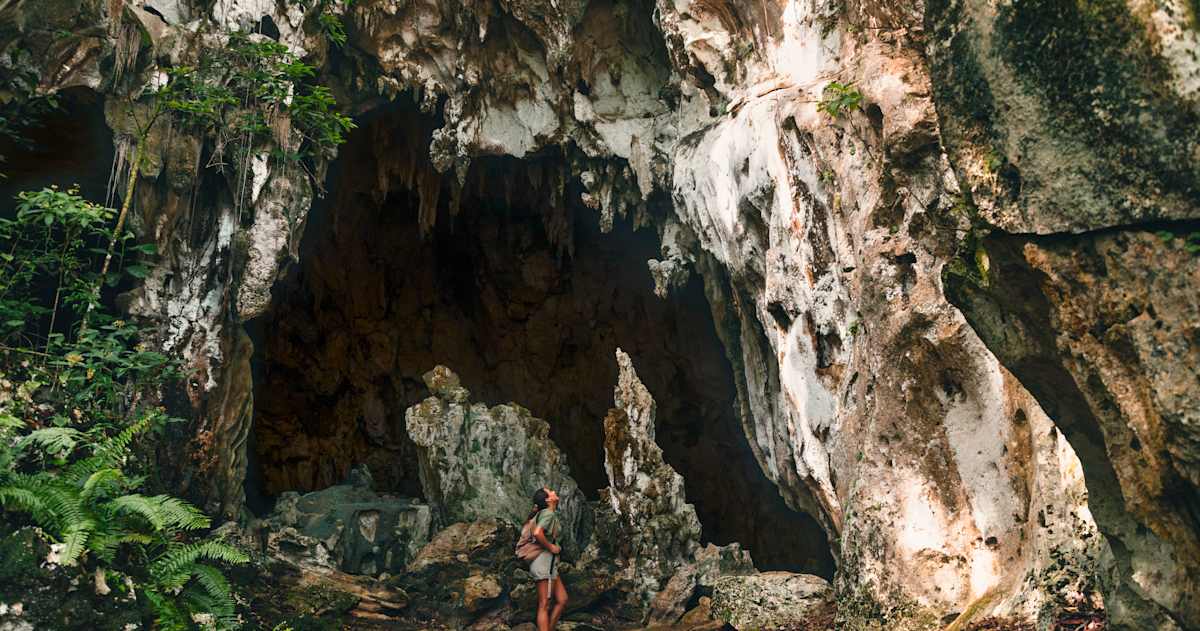 Samana : Image gallery : Image 1