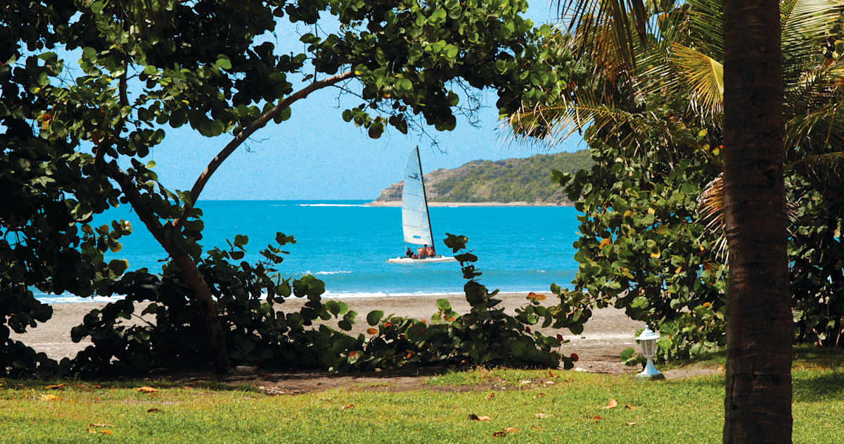 Manzanillo de Cuba 12