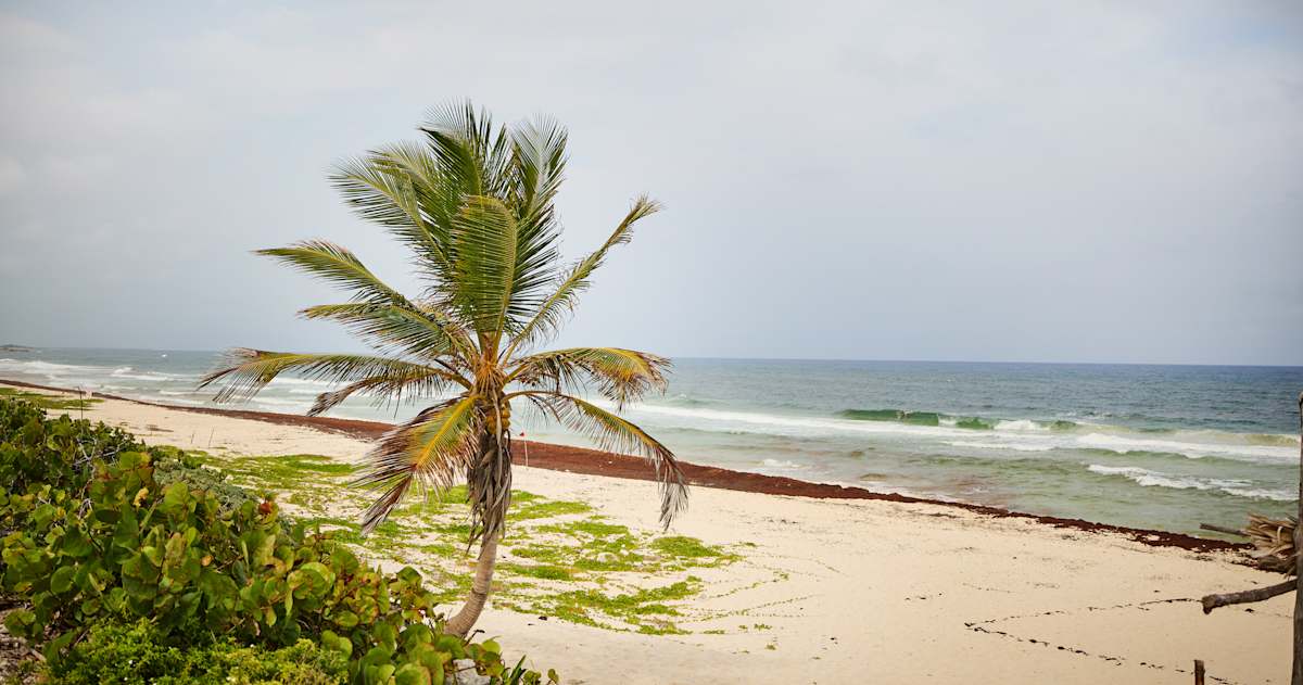 Cozumel 12